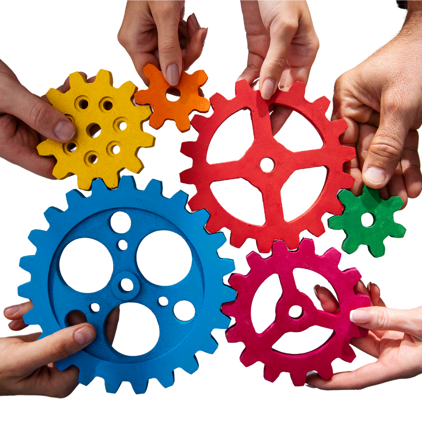 Partnership & Trust